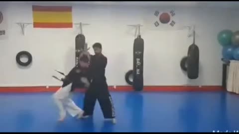 Hapkido