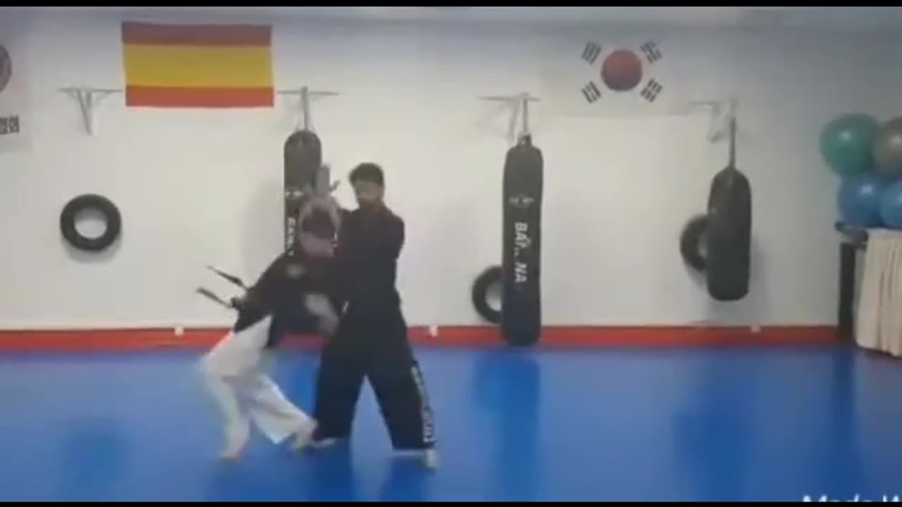 Hapkido