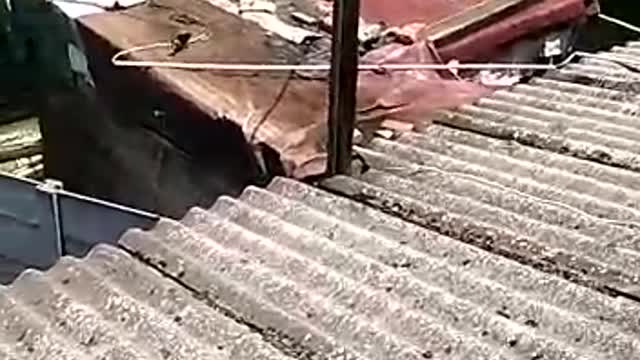 Bessie Bonteheuwel Fire