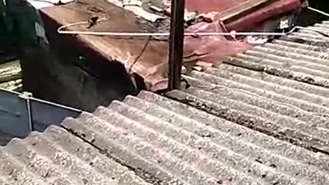 Bessie Bonteheuwel Fire