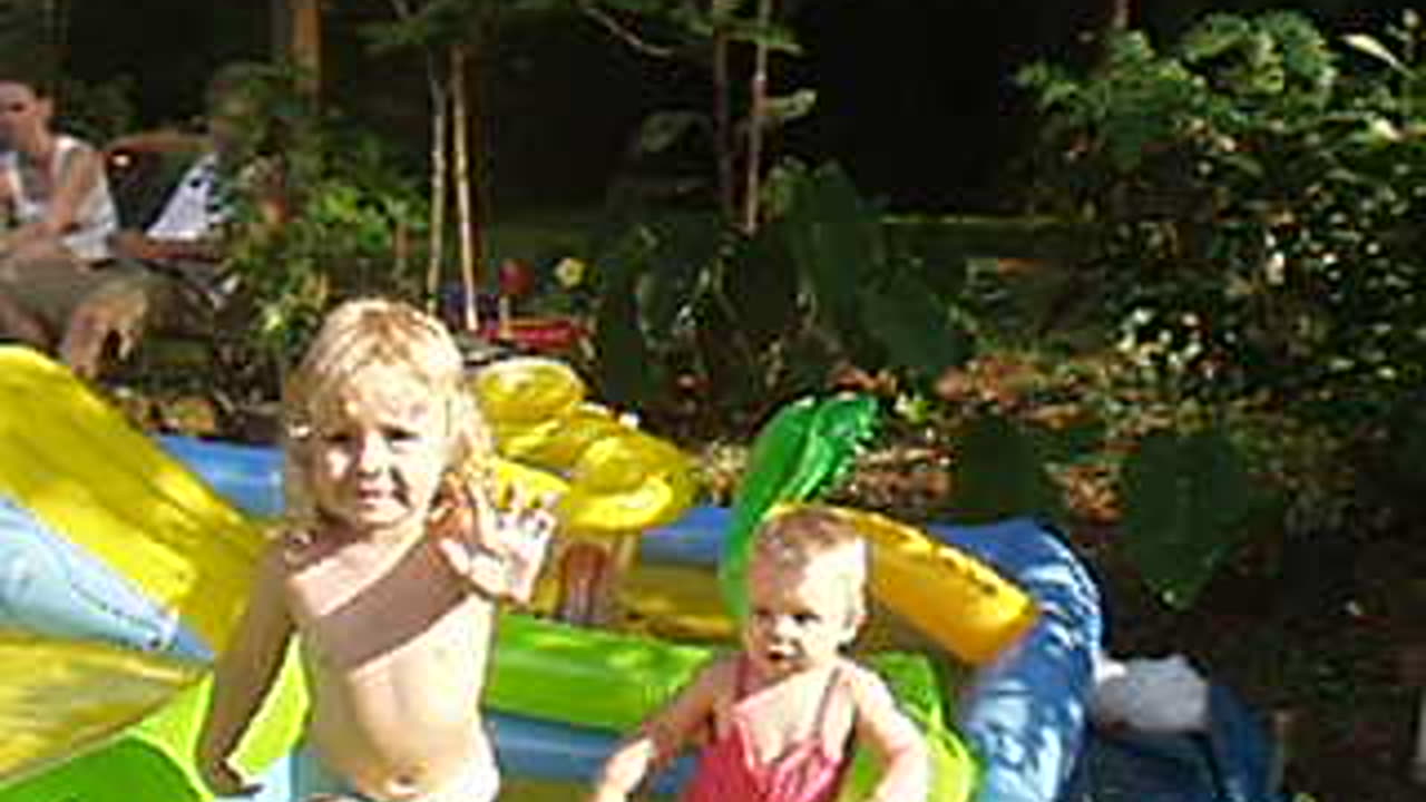 fishies in pool