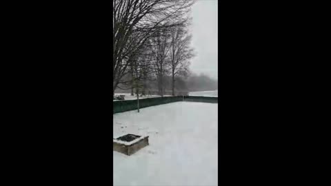 Doberman Hates The Cold