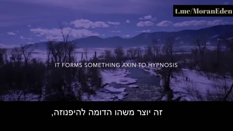 פסיכוזה המונית.