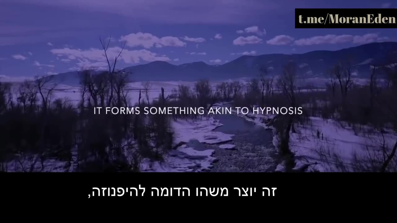 פסיכוזה המונית.