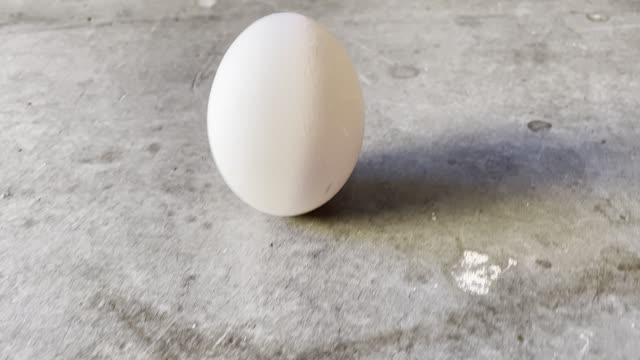 Standing Raw Egg Winter Solstice 2022