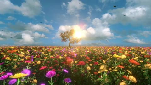 Music for meditation