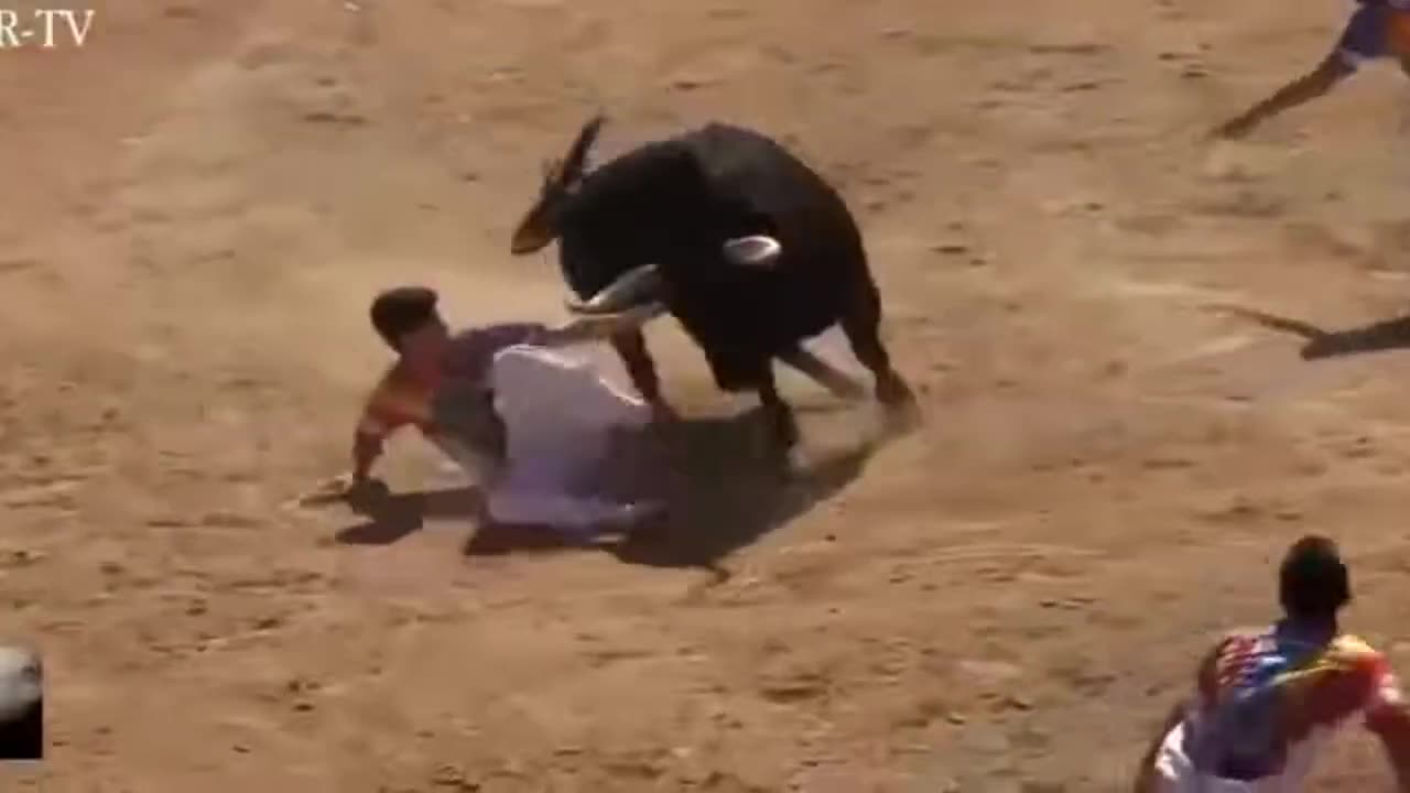 The beautiful and dangerous improvisation of the gaur fighters