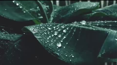 Soothing Sounds for Sleeping
