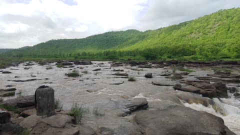 india forest view m.p