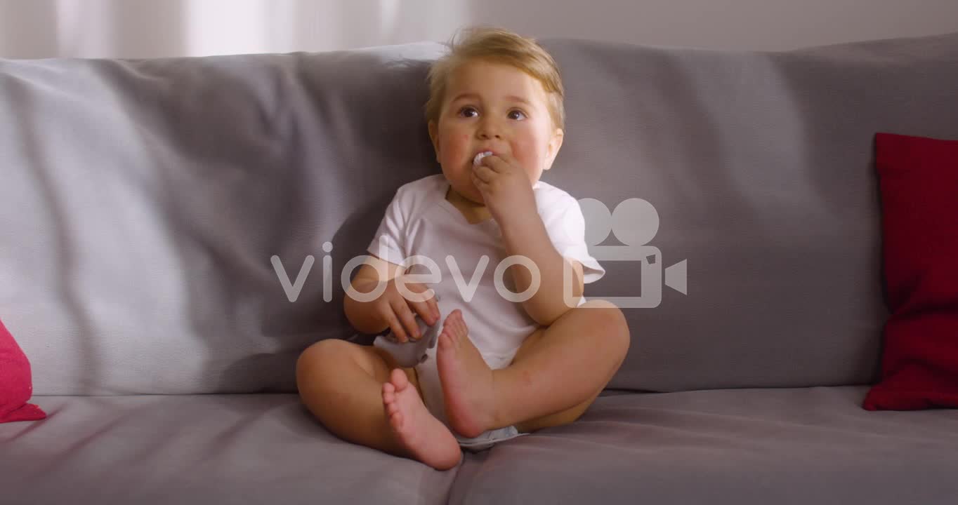 Front View Of A Baby Sitting On Sofa In Living Room At Home While Bitting A Toy Animal