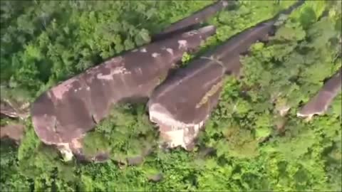 Petrified Sperm Whales Thailand