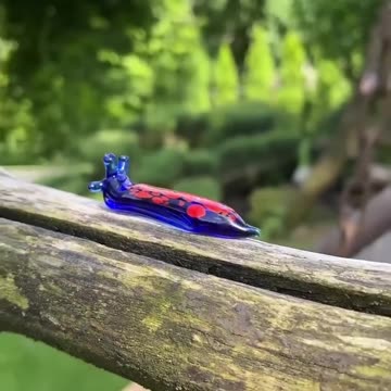 Dark_Psychology_fact_जान_लो____shorts____motivation____motivationa_l__facts____ytshorts