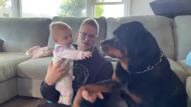 Rottweiler Tries To Cuddle Baby