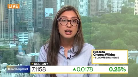Bloomberg Brief (09/09/2024)