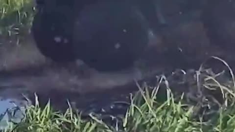 The end 😂😂😂 #viral #shorts #reels #fails #funny #fail #mmvfunny