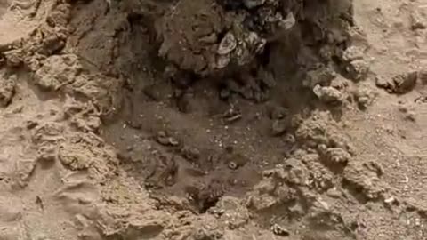human remains of people from the Second World War