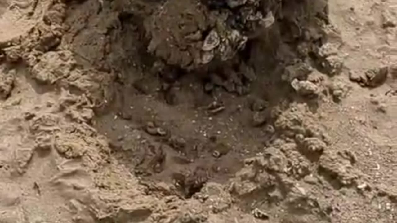 human remains of people from the Second World War