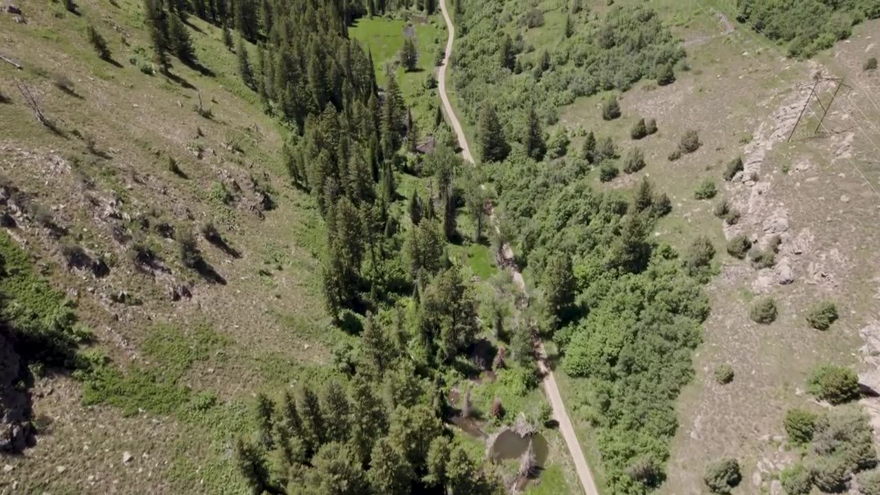 beaver rewilding impacts measured by nasa