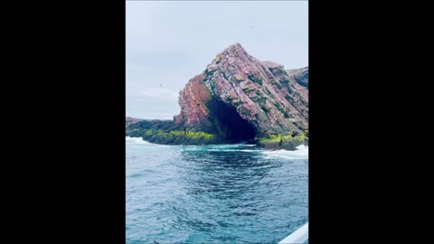 Witless Bay on O'Briens' Boat