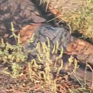 Ukraine war combat footage 9/16/24