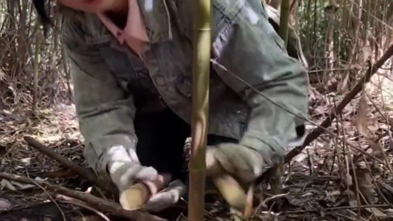 Cô gái vùng cao Vào rừng hái măng