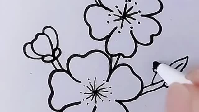 Draw flowers