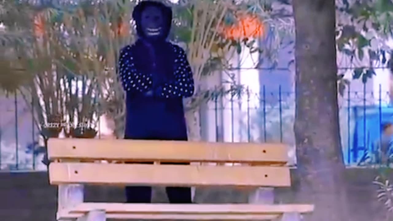 Fake gorilla prank with peoples