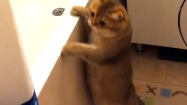 Do something