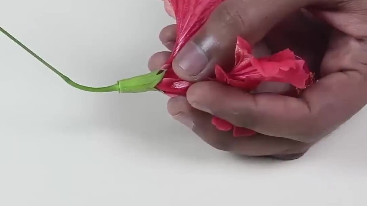 Explore Flowers ThinkTac #YouTubeShorts #DIY #Short #DIYscience