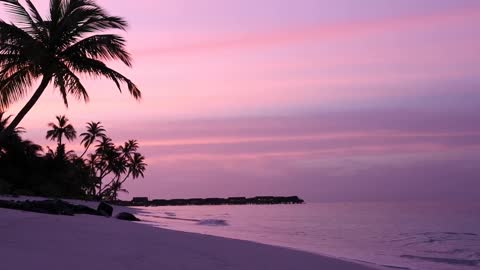 Sea by night view