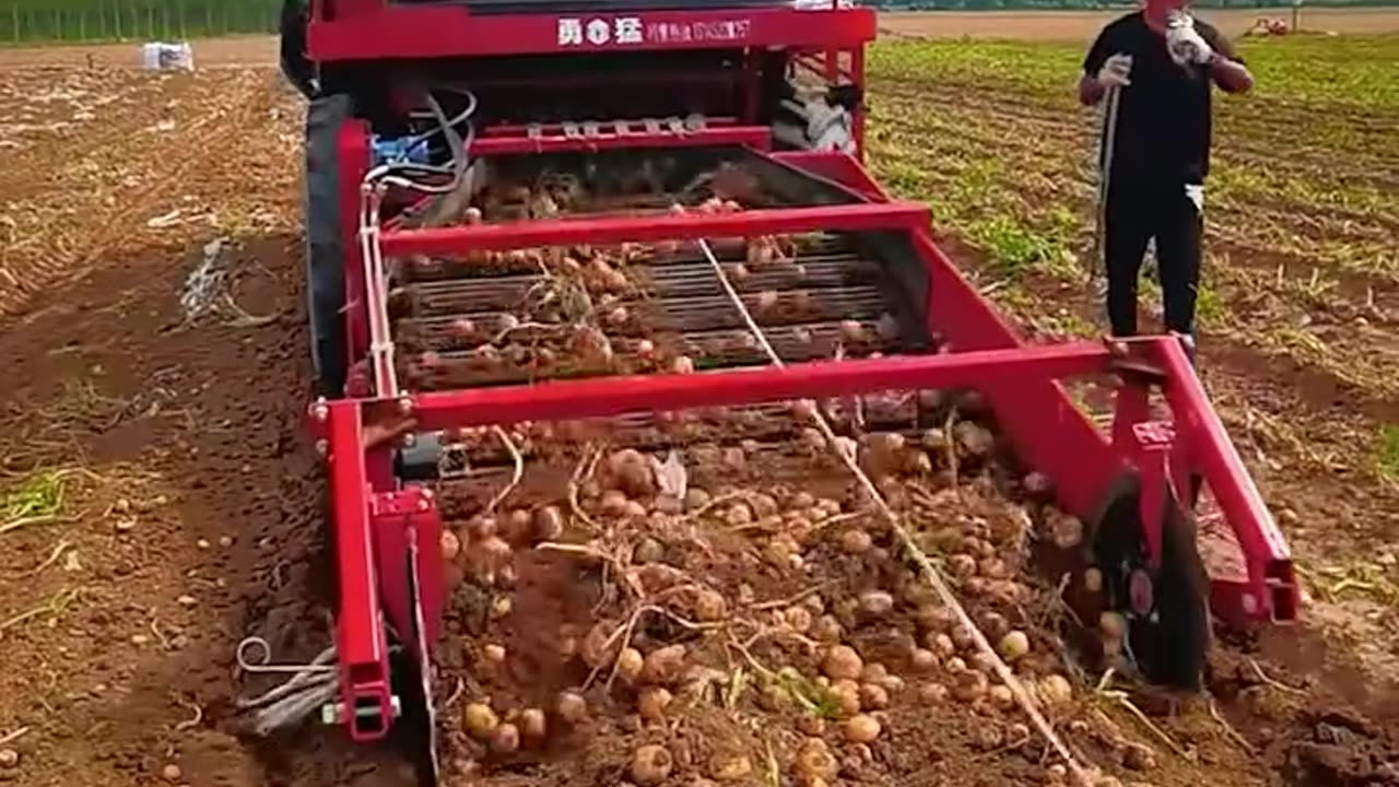 Potato Harvester