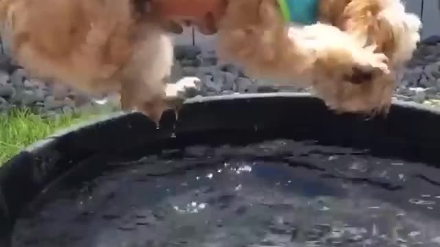 Could not be more adorable.