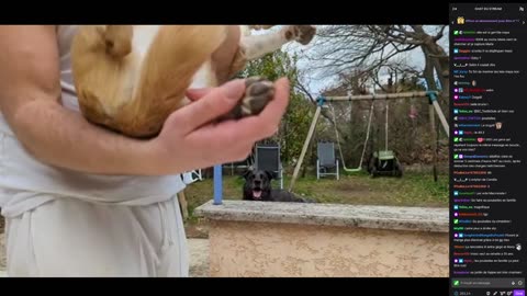 2023-03-19 (2bis.2) - Camille et Florent VS le chat - Twitch Triskelina (version avec chat)