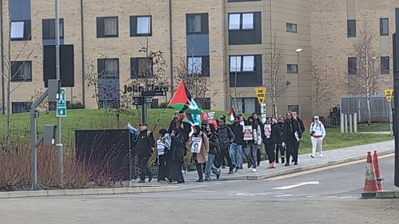 Protest in support of the palestinians