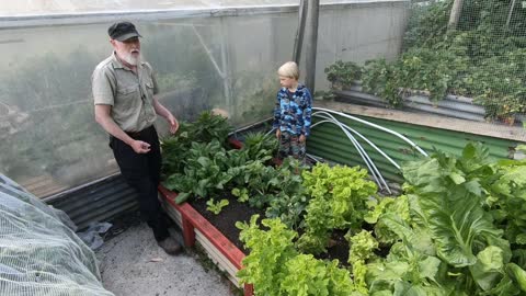 A Walk in the Veggie Garden...