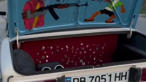A little surprise hidden in the trunk of a car. The owner is so good at playing.