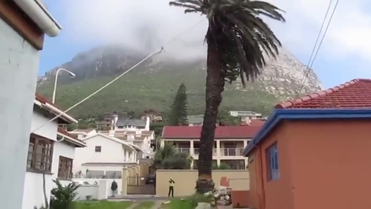 Being a Tree Surgeon is Easy