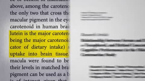 Brain-healthy foods to slow down aging