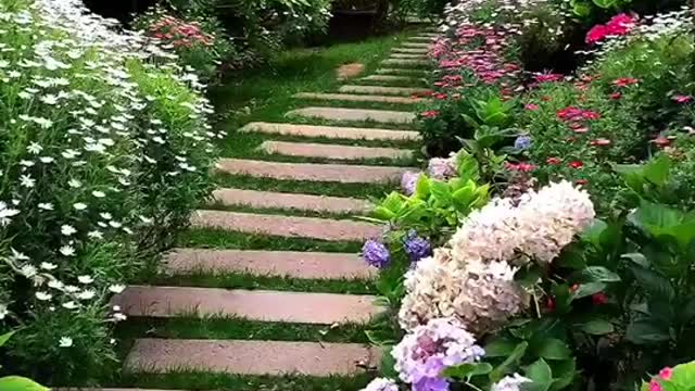 beautiful flowers