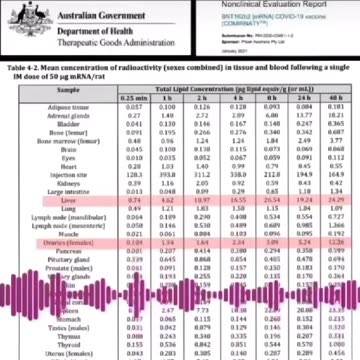 PROFESSOR SKERRITT & TGA SHOULD BE ARRESTED