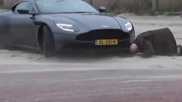 Poor guy, got caught in a snowstorm on the highway