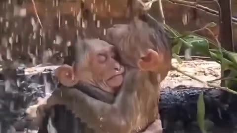 Είναι ένα από τα πιο όμορφα πράγματα που θα δεις σήμερα... 🐾