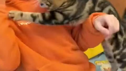 Give me a yummy, quickly!
