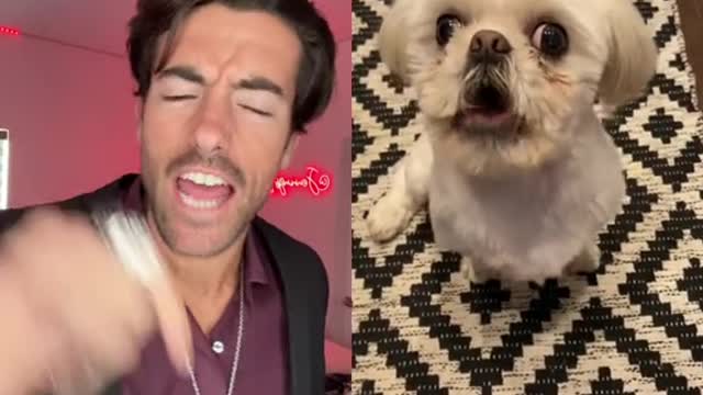 duet with @scottywartooth #Stitch That’s not my Hell Hound, Brother! 😇😈🐶