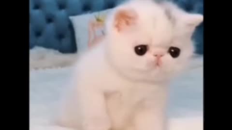 #funny video😆
