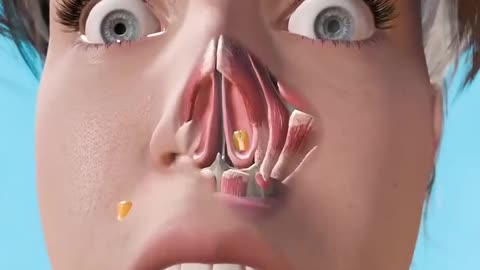 Can A Seed Grow In Your Nose. 🤔