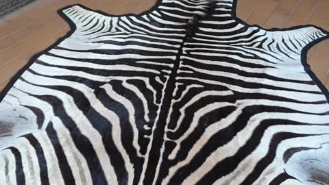 Felted Zebra Skin for client no4