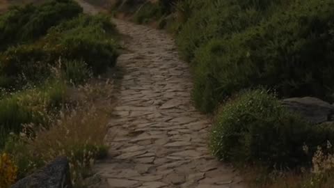 "Be Persistent in Pursuing Your Dreams: The Path to Success" #Persistence #Dreams #SuccessMindset