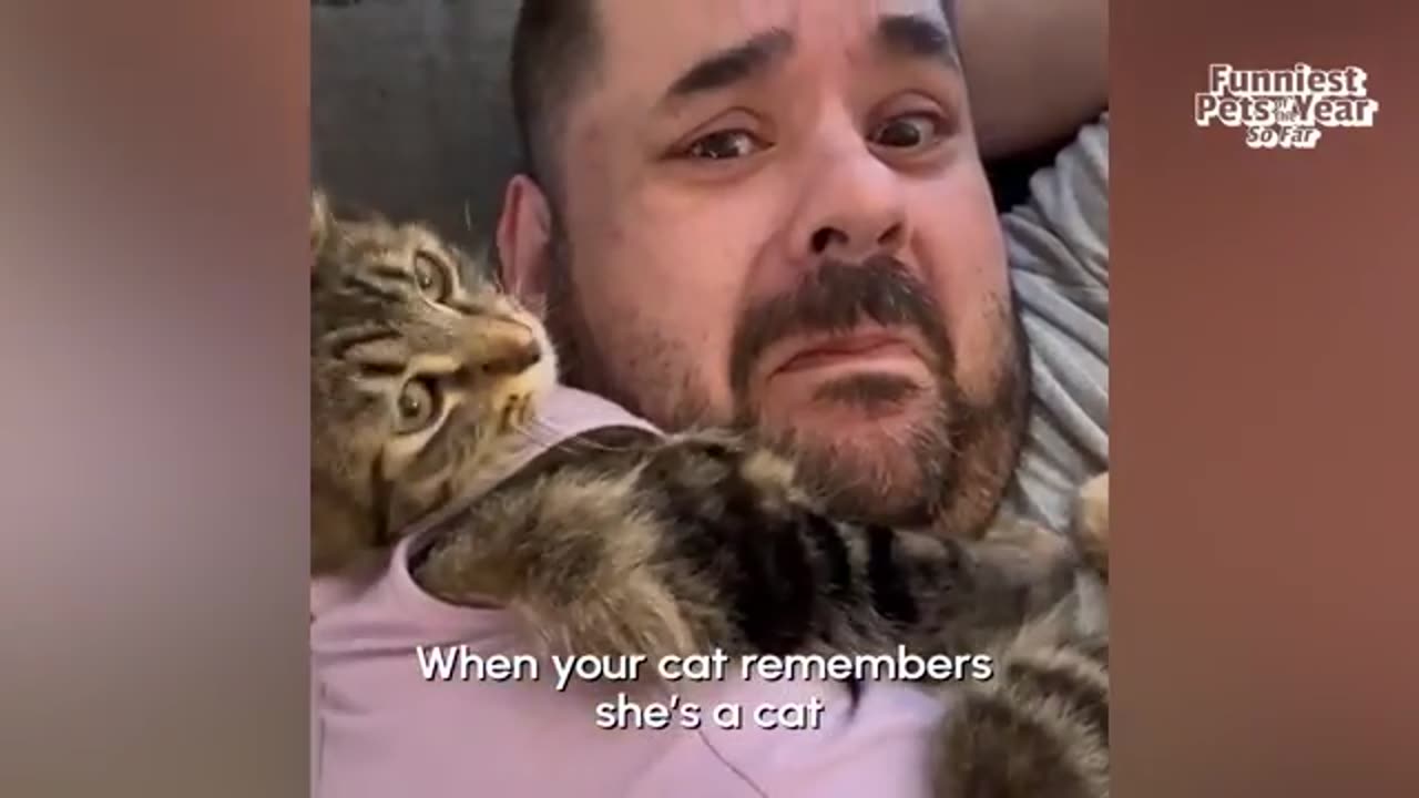 FUNNIEST Pets of 2024 😂 | BEST Compilation