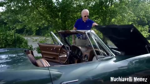 They are a pack of feral dogs in private 😡🤦‍♀️